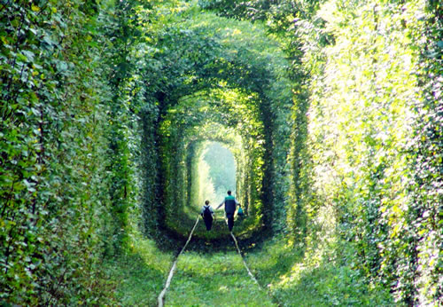 Tunnel-of-Love-in-Kleven.jpg