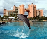 Atlantis Resort and Casino