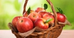 Power Fruits for Better Health