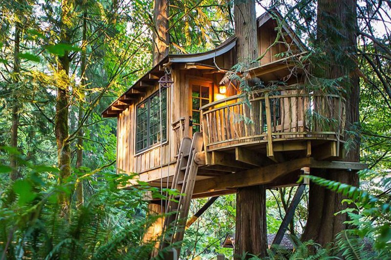 The Best Treehouse Hotels of Summer 2018
