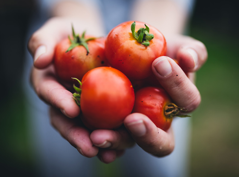 The Best Foods to Eat for Stronger Bones