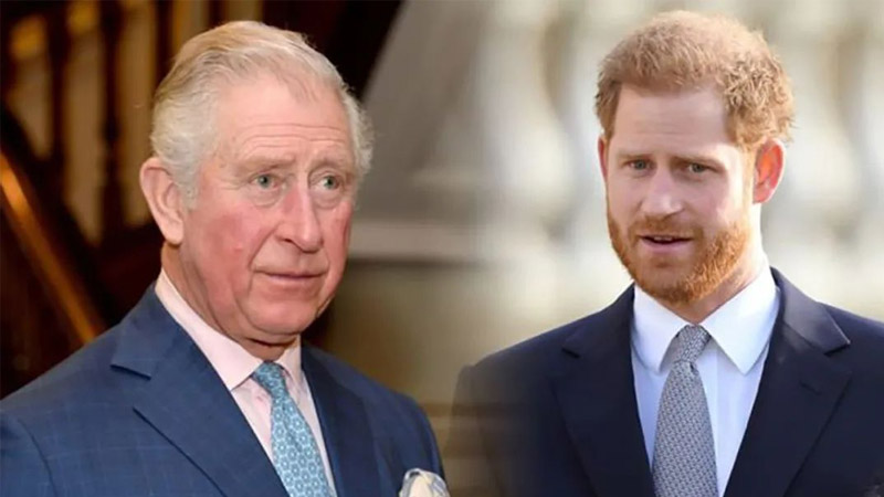  Damage done to relationship between Harry and Charles deemed irreparable