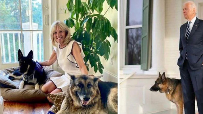  During a difficult time for his family, Joe Biden introduces the world to new White House puppy