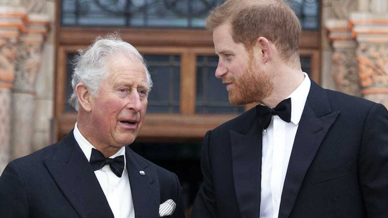  Prince Harry Slammed for ‘Selfish’ Demands to King Charles, Says Royal Expert