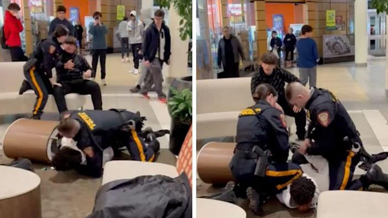  Mall fight ends with a black teen in handcuffs while a white bully looks on