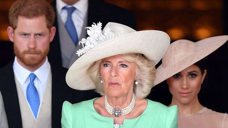  Camilla, Duchess of Cornwall, could be Prince Harry’s real reason for not visiting the United Kingdom, Royal Analyst says