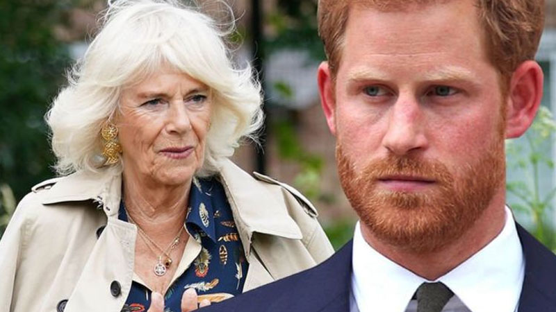  Camilla is ‘very angry’ with Prince Harry over an important title change