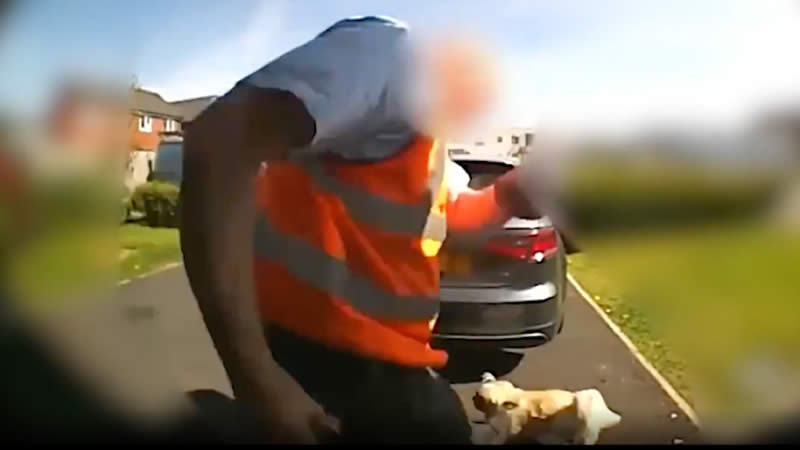  Postman Kicking Family’s Dog While Making Parcel Delivery Caught On Camera