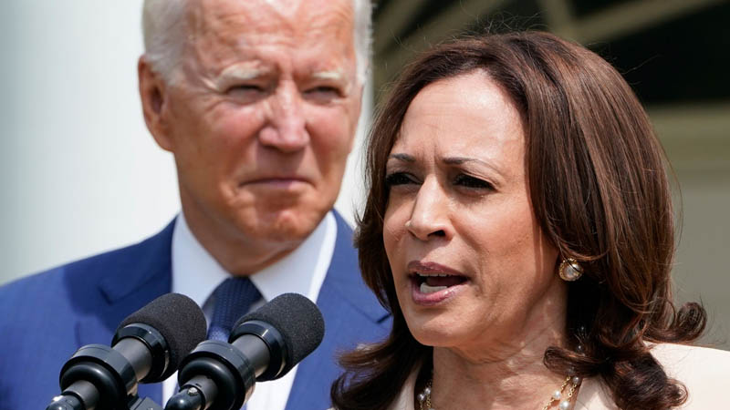  The DNC openly praises Biden-Harris for violating the constitution re student loan debt