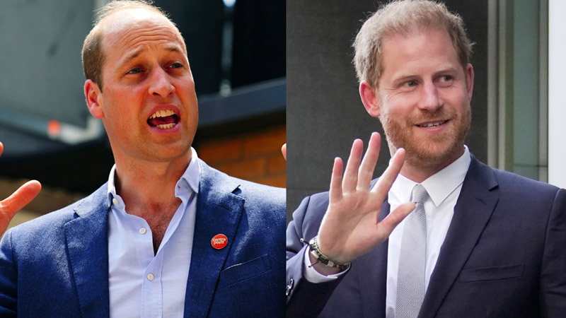  Prince Harry Poised to Drop Major Bombshells After Prince William’s Coronation, Royal Expert Claims