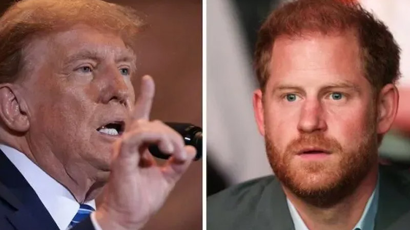  The debate over Prince Harry’s US visa involving Donald Trump takes a new turn