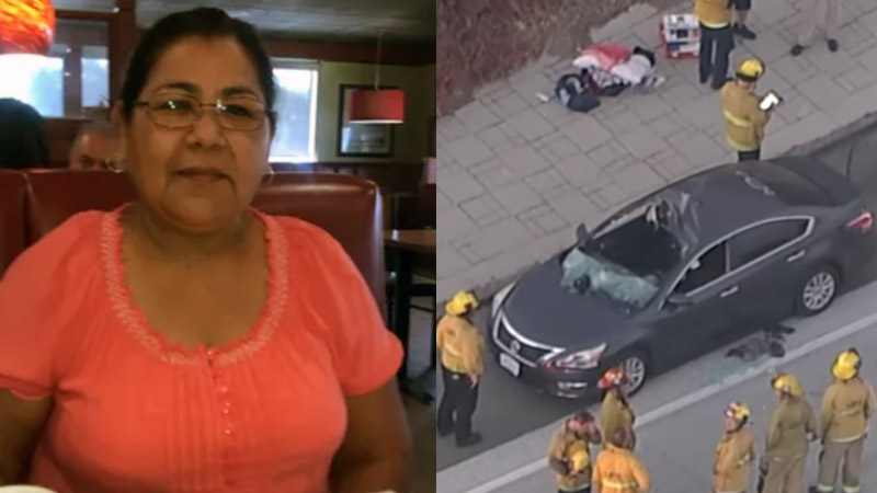  Tragic Accident Claims the Life of Beloved Mother After Suicidal Man Jumps Onto Her Car