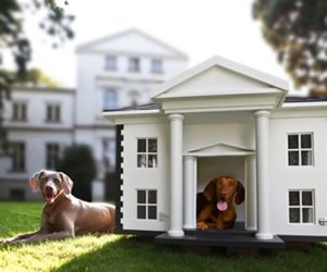 World Most Expensive Pet Homes