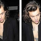  One Direction’s Harry Styles flashes his chest at fashion bash