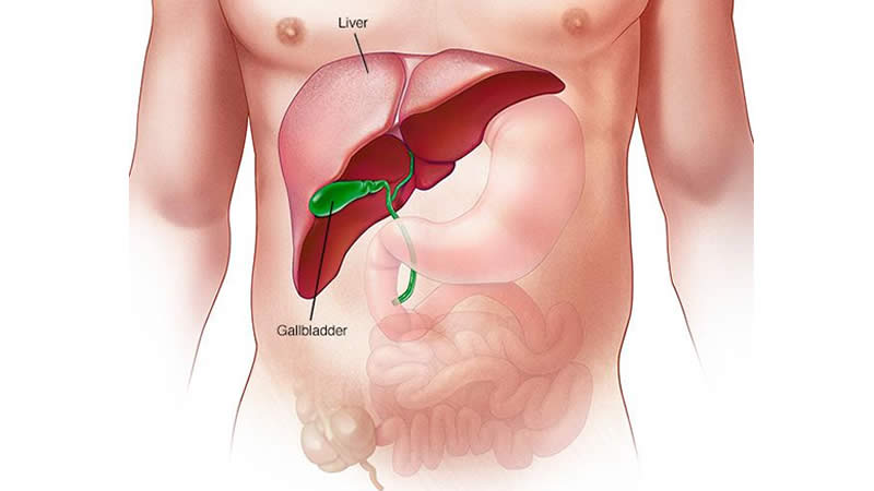 6 Signs Your Liver Might Be Failing