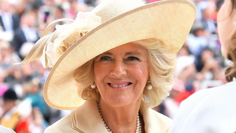  Camilla, Duchess of Cornwall Shares Her Favorite Activity to Do with Her Grandchildren
