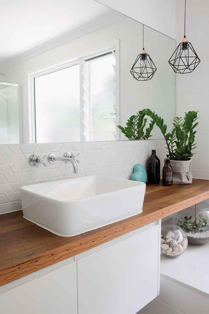 7 Best Indoor Plants for your Bathroom