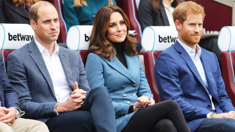  Kate Middleton Reaches Breaking Point Over Prince Harry Drama, Claims Royal Biographer