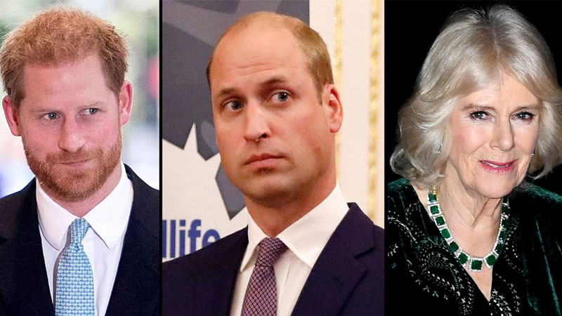 Harry and William and Camilla