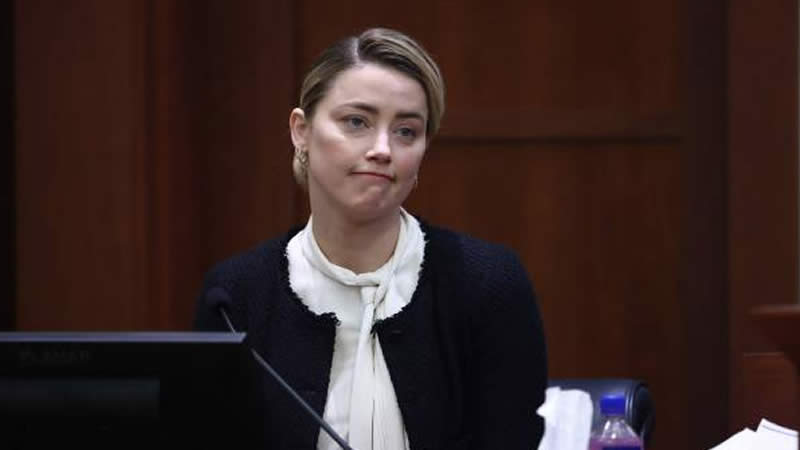 Amber Heard Investigated Perjury Smuggling Two Dogs