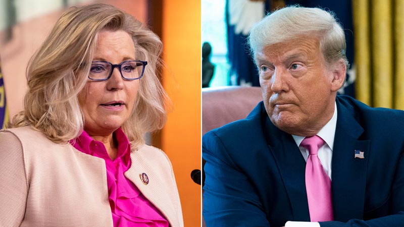  Liz Cheney accuses Sean Hannity, the anchor of Fox News, of protecting Donald Trump since the attack on January 6