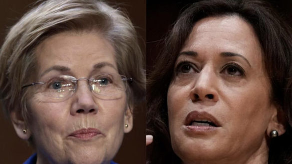 Sen. Elizabeth Warren and Vice President Kamala Harris.Anna Moneymaker/Getty Images. Rebecca Blackwell/AP.
