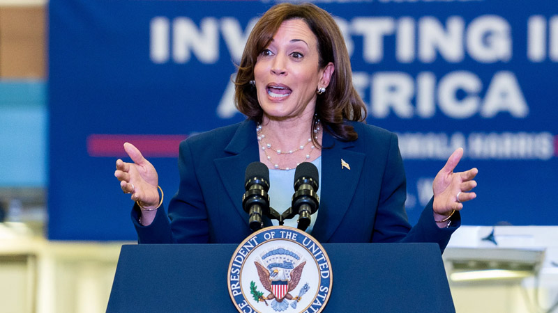  Vice President Harris Steps Up in Reelection Campaign Amid Democratic Party Concerns