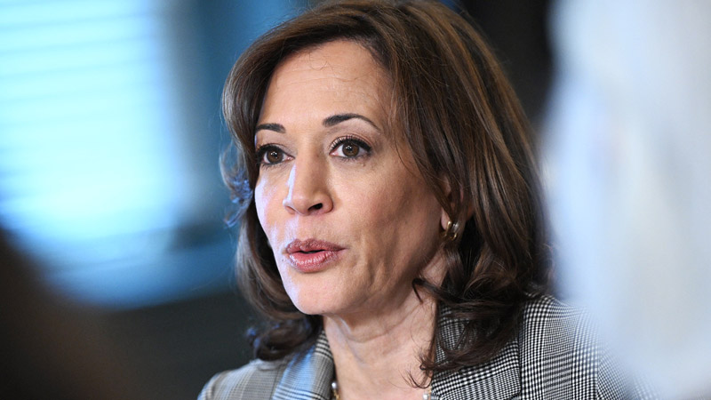  ‘What could possibly go wrong?’ Kamala Harris Faces Criticism for Suggesting Federal Incentives for Student-Led Voter Registration Before 2024 Elections
