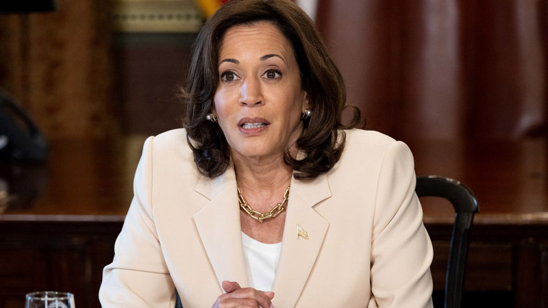  Kamala Harris on Air Force Two Rerouted to Dulles Airport Due to Bad Weather