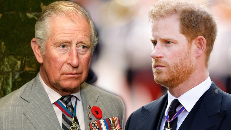  Royal Expert Suggests Prince Harry and King Charles III Could Mend Relationship by “Normalizing” Interactions
