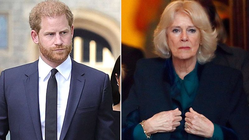  Prince Harry’s Blunt Nickname for Queen Camilla ‘Dangerous’ But Not ‘Cruel’