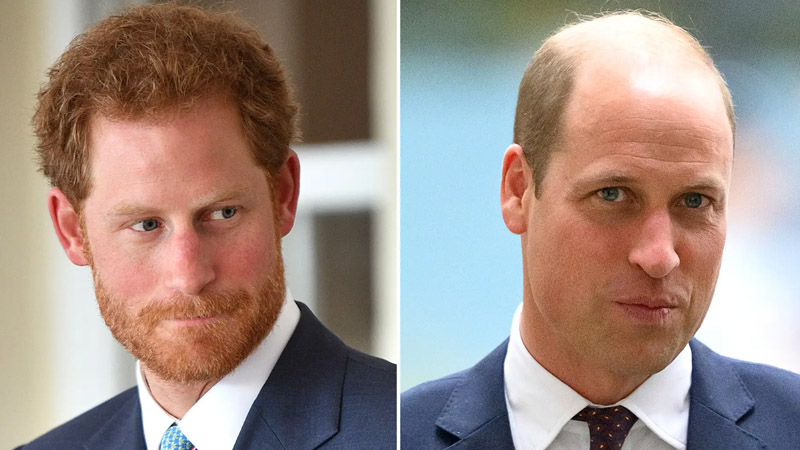  Prince William told Harry Royal life is not ‘free ride’ in subtle dig