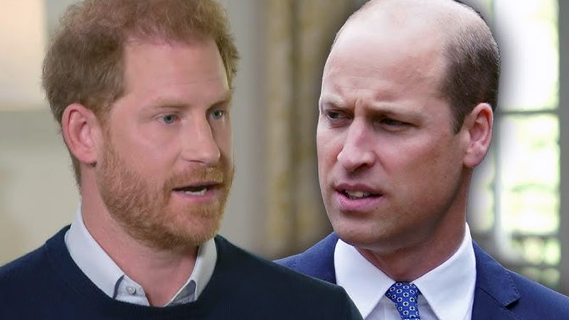  Royal Expert Makes Surprising Claims About Prince William and Harry’s Reunion in New York