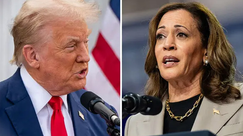  Analyst Suggests Kamala Harris Should ‘Brush Off’ Trump with Grace in Upcoming Debate