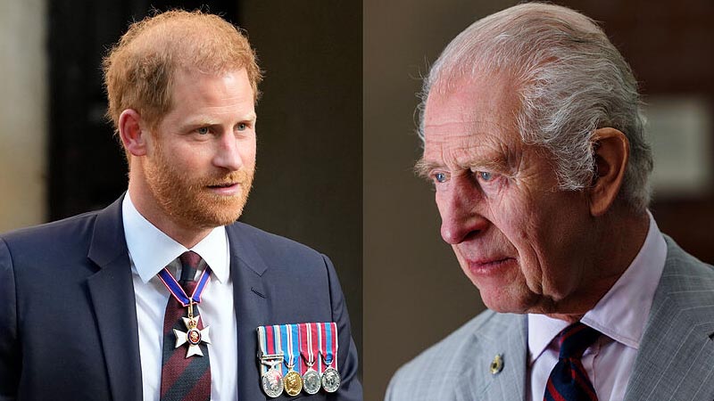 king charles and prince harry