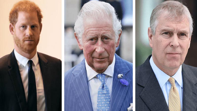  King Charles Urged to Remove Andrew and Harry from Official Roles, Critic Suggests